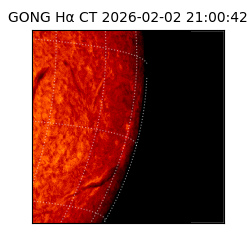 gong - 2026-02-02T21:00:42