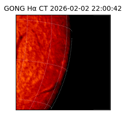 gong - 2026-02-02T22:00:42