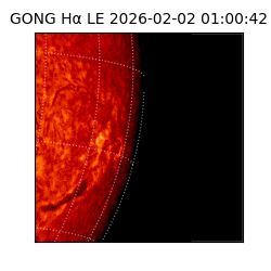 gong - 2026-02-02T01:00:42