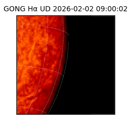 gong - 2026-02-02T09:00:02
