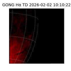 gong - 2026-02-02T10:10:22