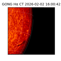 gong - 2026-02-02T16:00:42
