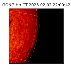 gong - 2026-02-02T22:00:42