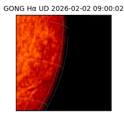 gong - 2026-02-02T09:00:02