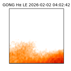 gong - 2026-02-02T04:02:42