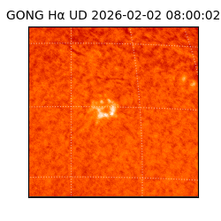 gong - 2026-02-02T08:00:02