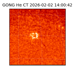 gong - 2026-02-02T14:00:42