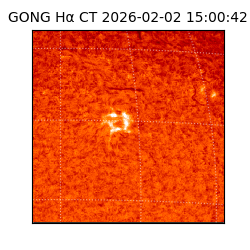 gong - 2026-02-02T15:00:42