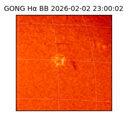 gong - 2026-02-02T23:00:02