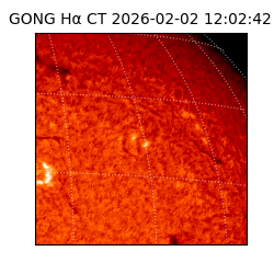 gong - 2026-02-02T12:02:42