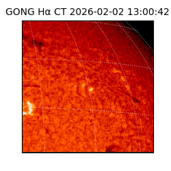 gong - 2026-02-02T13:00:42