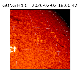 gong - 2026-02-02T18:00:42