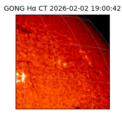 gong - 2026-02-02T19:00:42
