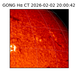 gong - 2026-02-02T20:00:42