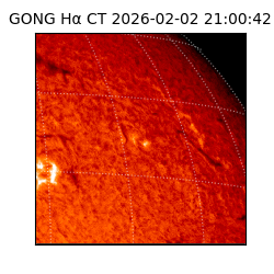 gong - 2026-02-02T21:00:42