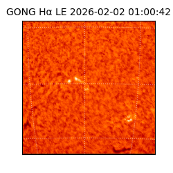 gong - 2026-02-02T01:00:42