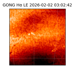 gong - 2026-02-02T03:02:42