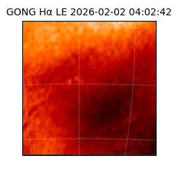 gong - 2026-02-02T04:02:42