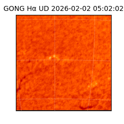 gong - 2026-02-02T05:02:02
