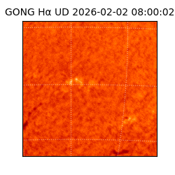 gong - 2026-02-02T08:00:02