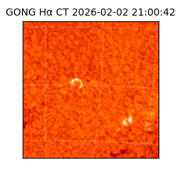 gong - 2026-02-02T21:00:42