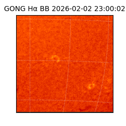 gong - 2026-02-02T23:00:02