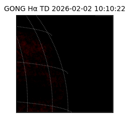 gong - 2026-02-02T10:10:22