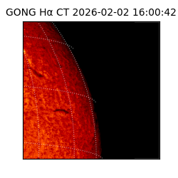 gong - 2026-02-02T16:00:42