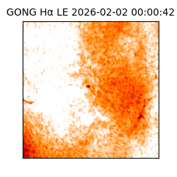 gong - 2026-02-02T00:00:42