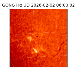 gong - 2026-02-02T06:00:02