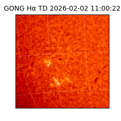 gong - 2026-02-02T11:00:22