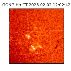 gong - 2026-02-02T12:02:42