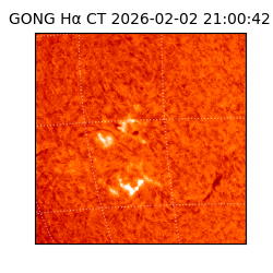 gong - 2026-02-02T21:00:42