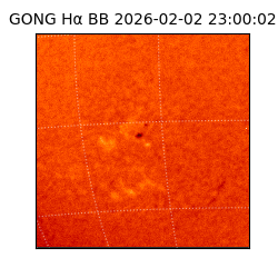 gong - 2026-02-02T23:00:02