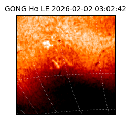 gong - 2026-02-02T03:02:42