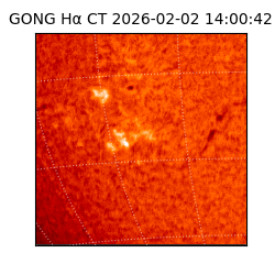 gong - 2026-02-02T14:00:42