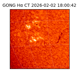 gong - 2026-02-02T18:00:42