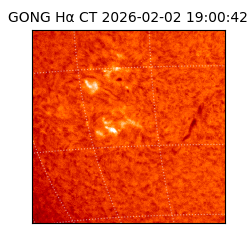 gong - 2026-02-02T19:00:42