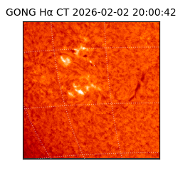 gong - 2026-02-02T20:00:42