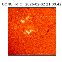 gong - 2026-02-02T21:00:42