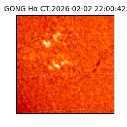 gong - 2026-02-02T22:00:42