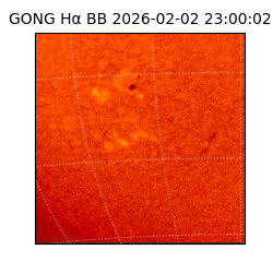 gong - 2026-02-02T23:00:02