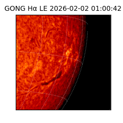 gong - 2026-02-02T01:00:42