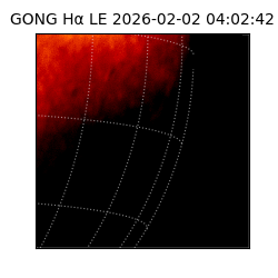 gong - 2026-02-02T04:02:42