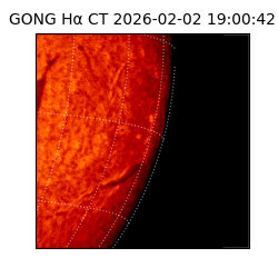 gong - 2026-02-02T19:00:42