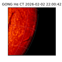 gong - 2026-02-02T22:00:42