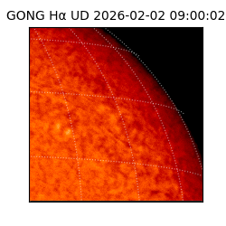 gong - 2026-02-02T09:00:02