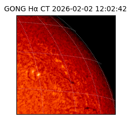 gong - 2026-02-02T12:02:42