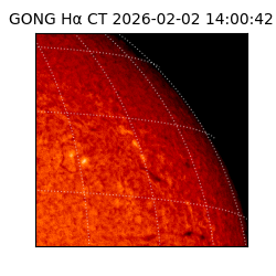 gong - 2026-02-02T14:00:42