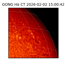gong - 2026-02-02T15:00:42